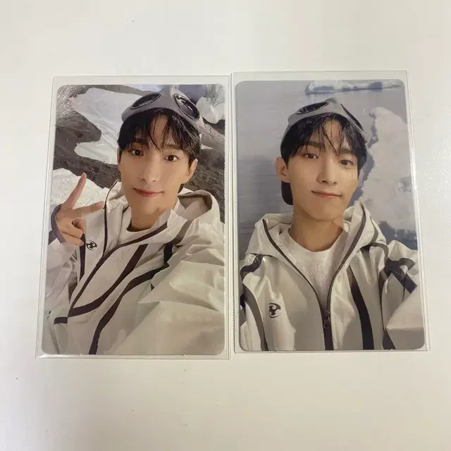 세븐틴 섹터17 앨범 도겸 포카 일괄 양도해요 sector17