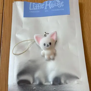 Skzoo STRAYKIDS 한국 팬미팅 참 아이엔 폭시니