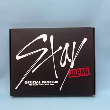 StrayKids 컴팩트 미러/핀 배지/시크릿 카드 세트