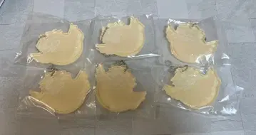 하이큐 제일복권 최강의 도전자로 동물 참 츠키시마 유리