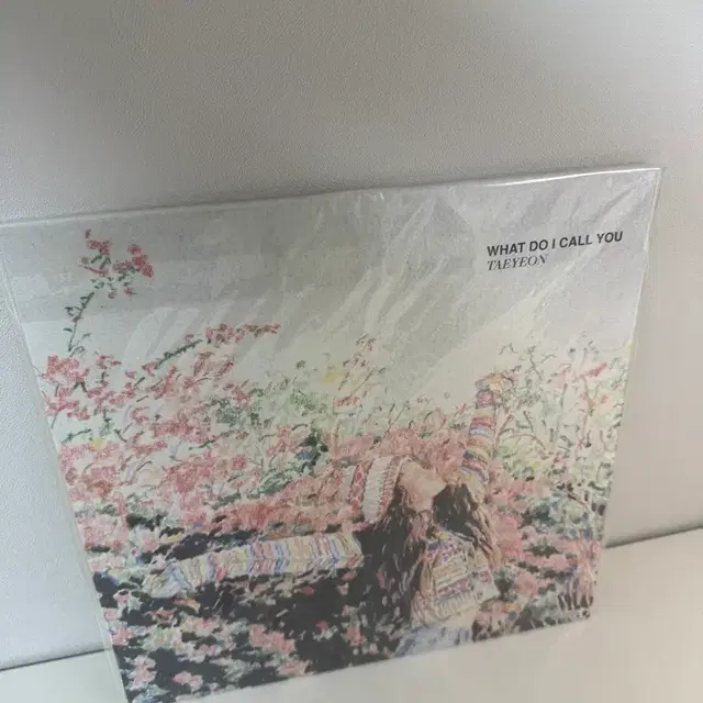 태연 What Do I Call You 앨범 단순개봉