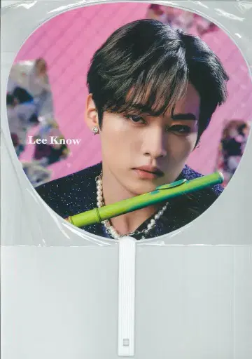 StrayKids THE SOUND LeeKnow IMAGE PICKET