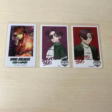 윈브레 소방 준히 윈히로 카드 묶음 판매