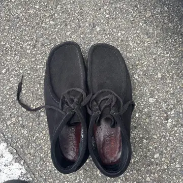 Clarks 왈라비