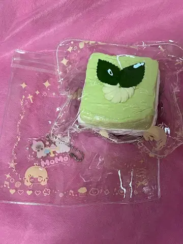 해외 스퀴즈 MOMO 케이크 말차 케이크