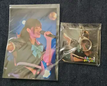 시부3프로젝트 2024년 시부산 가챠 네기타메나