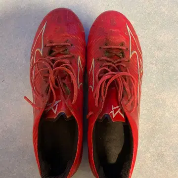 미즈노 알파 2 JAPAN