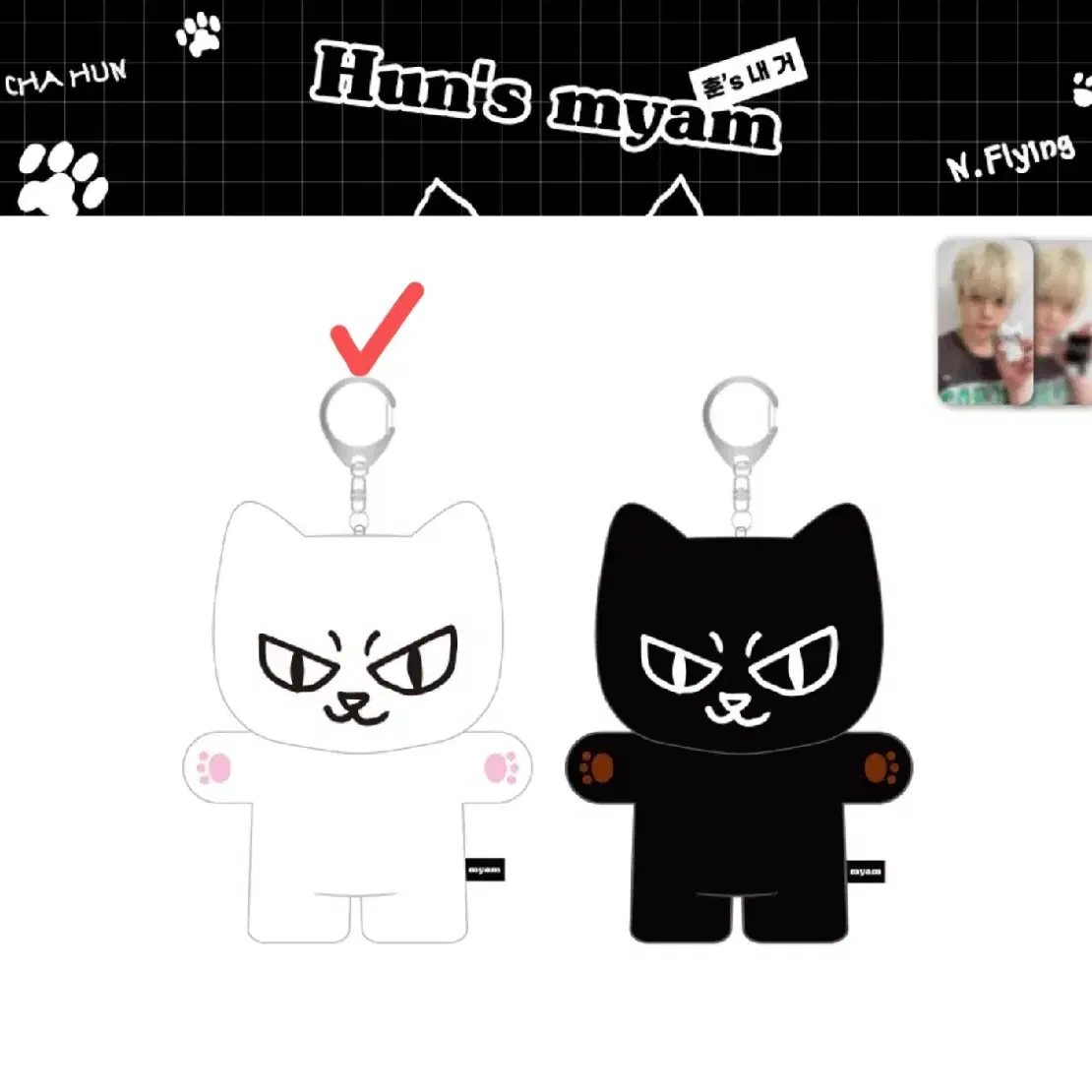 N-Flying Enfidol Enfidoll XS (unsealed) #엔플라잉,#엔플라잉인형