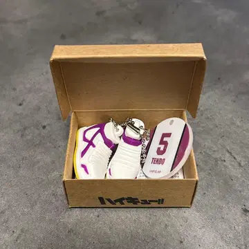 HAIKYU!! 하이큐 미니어처 신발 텐도 사토리