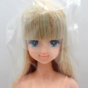 리카짱 캐슬 27cm 즐거운 인형 초대 제니 3860