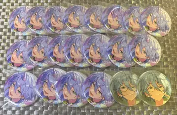 앙스타 칸나 코레칸 Sep i 19개 c 2개