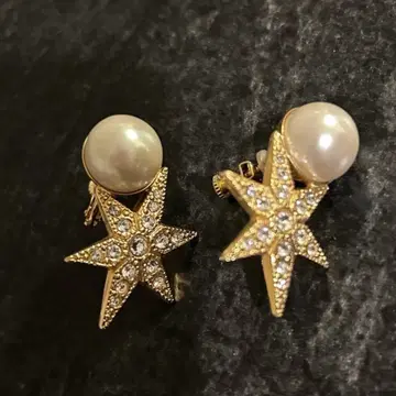 아델 비쥬 ADER. bijoux 귀찌