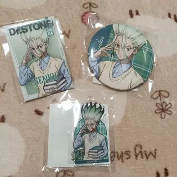 Dr.STONE 복권 독서의 가을편 이시가미 센쿠 캔뱃지 키링