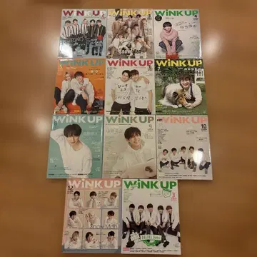 WINK UP 2020년과 2021년 건너뛰고 11권