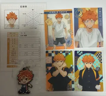 하이큐 히나타 쇼요 6세트