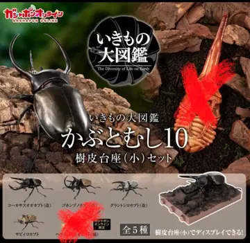 생물대도감 딱정벌레 10 가샤폰 온라인판 나무껍질 받침대 포함 4종 2