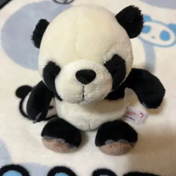 팬더 nici 봉제 인형