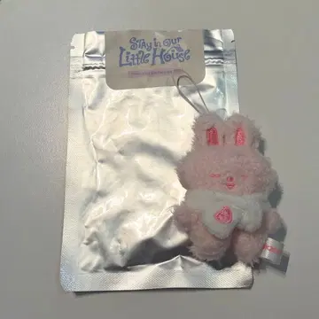 스키즈 팬미팅 굿즈