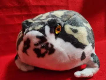 리얼 애니멀즈 아메후쿠라 개구리 봉제 인형 개구리