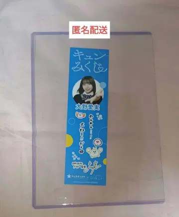 오노 마나미 큥 복권 요코하마 개운 수족관 히나탄 축제 히나코이