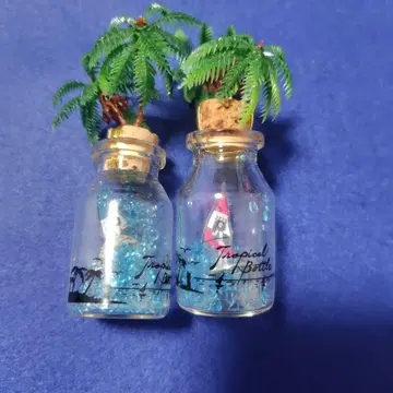 쇼와 레트로 기념품? 트로피컬 보틀 2개