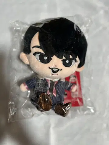 스노치루 BIG 봉제 인형 소프트 비닐 미야타테 료타