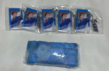 캡콤 CAPCOM 가챠가챠 역전재판 나루호도 류이치 아크릴 키링