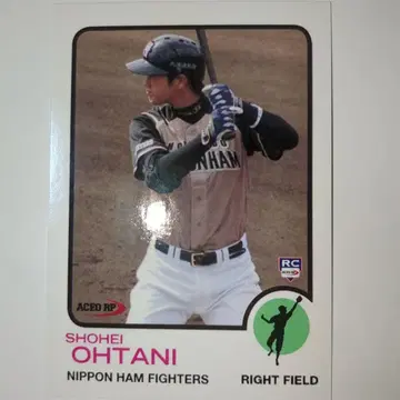 오타니 쇼헤이 니혼햄