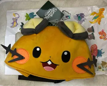 포케파크 데덴네 팬캡