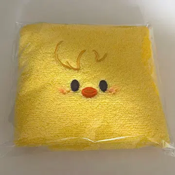 스키즈 팬미팅 입장 혜택 타월