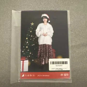 린 루나 2025 크리스마스 개별 브로마이드