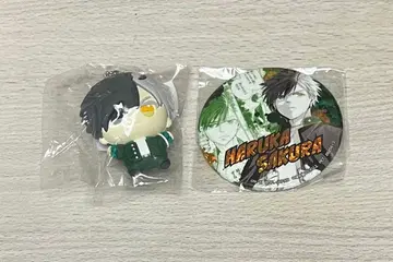 윈드 브레이커 남코 러버 마스코트 캔뱃지 벚꽃