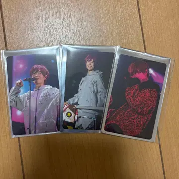 우라시마사카타센 토나리노 사카타 WARN12G 랜덤 미니 포토 카드