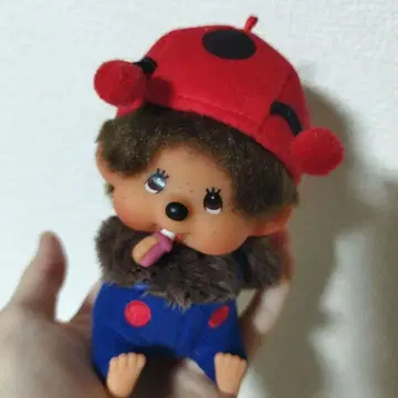 몬치치 얼굴 커다란 ss 키체인 무당벌레