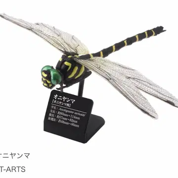 원색 도감 시리즈 일본 잠자리 오니잠자리 가챠