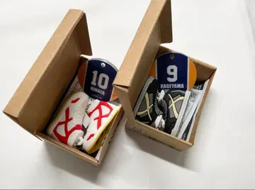 하이큐 미니어처 신발 컬렉션 히나타 쇼요 카게야마 토비오