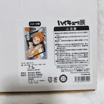 하이큐!!전 아크릴 거울 패널 히나타 하이큐 원화전