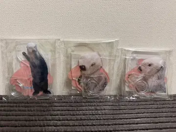 캡슐 복권 토바 수족관  수달 메이짱 복권 리턴즈 펜 스탠드 불쑥