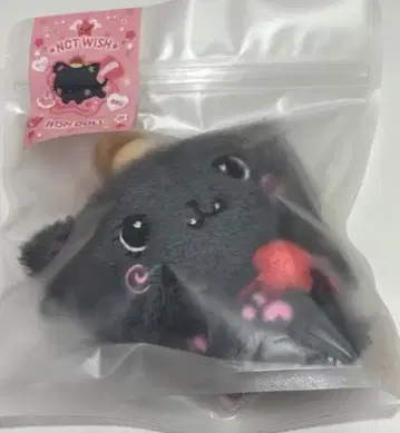 NCT WISH 위시인형 리쿠 D