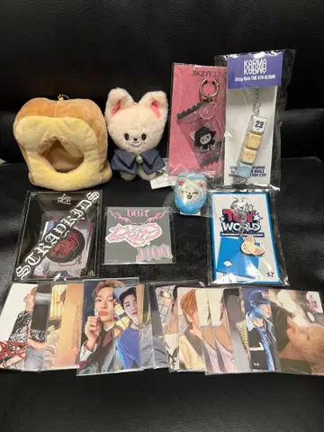 미사용 새상품 아이엔 폭시니 straykids 스키즈