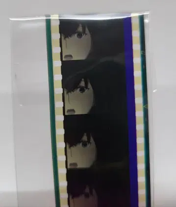 슈타인즈 게이트 생필름 마키세 크리스