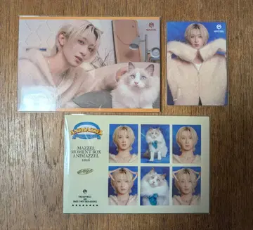 MAZZEL NAOYA 나오야 ANIMAZZEL 애니마젤