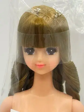 18 제니 리카짱 캐슬 오타노시미 인형 브라운 계열 헤어 제니 프렌드