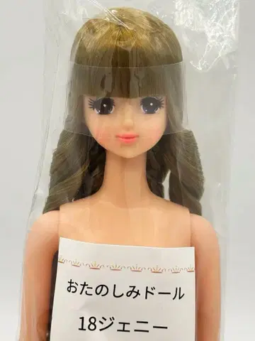 18 제니 리카짱 캐슬 오타노시미 인형 브라운 계열 헤어 제니 프렌드