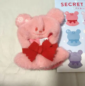 시크릿 판초 유니베어시티 코스튬