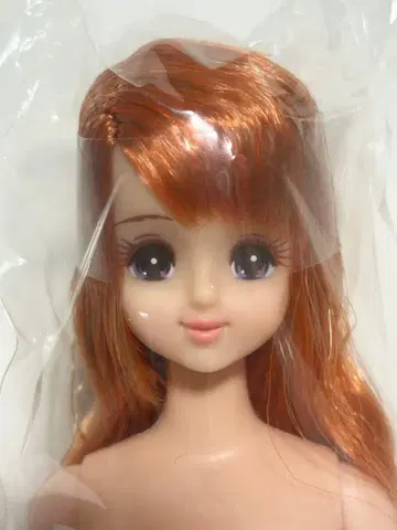 리카짱 캐슬 제니 프렌드 즐거운 인형