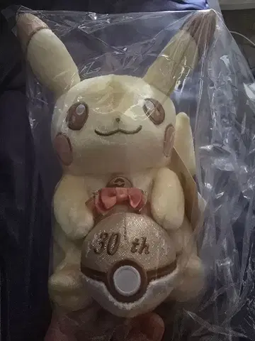 피카츄 30주년 기념 봉제 인형 본체