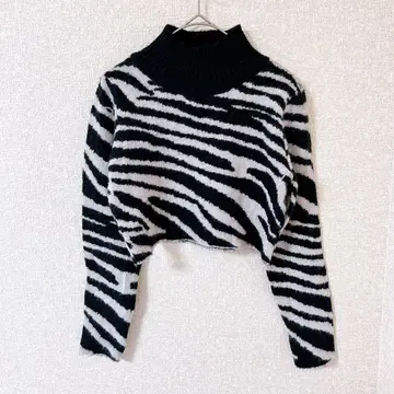 SHEIN 제브라 패턴 하이넥 크롭 니트 S 모노톤
