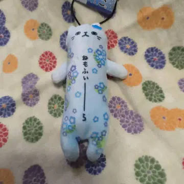 레어! 네모필라 늘어나는 고양이 네모필라