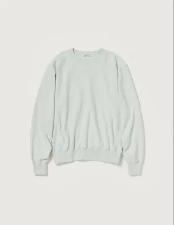 Auralee 26SS SMOOTH SOFT BD SWEAT P/O